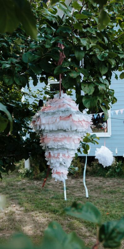 Pinata on Tree by House